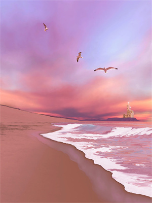 宋聽晚程邵安免費閱讀